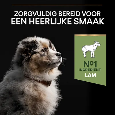 Zorgvuldig bereid voor een heerlijke smaak. Nº1 ingrediënt lam. Afbeelding van een hond en een icoon van een lam met tekst over het hoofdingrediënt.