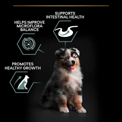 Teksti: Supports intestinal health, Helps improve microflora balance, Promotes healthy growth. Kuvassa pentukoira ja kolme symbolia tekstien yhteydessä. Teksti englanniksi.