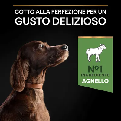 Cotto alla perfezione per un gusto delizioso. N°1 ingrediente agnello.