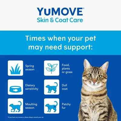 Times when your pet may need support: spring season, food, plants or grass, dietary sensitivity, dull coat, moulting season, patchy fur. Consult your vet if concerned.
