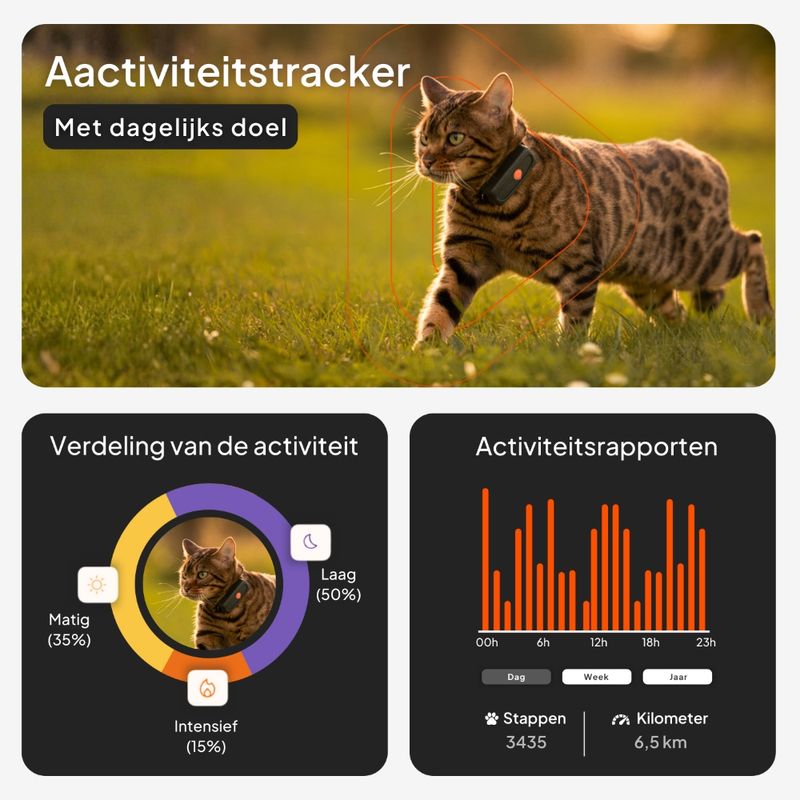 Weenect Pet GPS Tracker XS voor katten - inclusief Halsband
