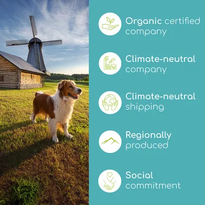 Wolfsbacher Natur Denta Vital Sticks