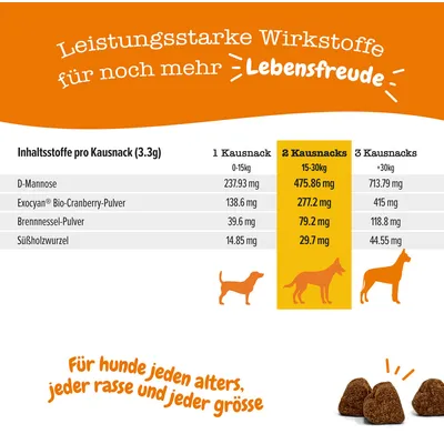 Tabela sestavin na porcijo pasjega priboljška: D-manoza, brusnični prah, koprivni prah, sladki koren. Priporočene količine glede na težo psa: 1–3 priboljški dnevno.