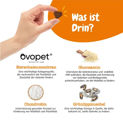Ovopet. Was ist Drin? Eierschalenmembran, Glucosamin, Chondroitin, Grünlippmuschel. Besedilo v nemščini opisuje sestavine in njihove koristi za sklepe in gibljivost.