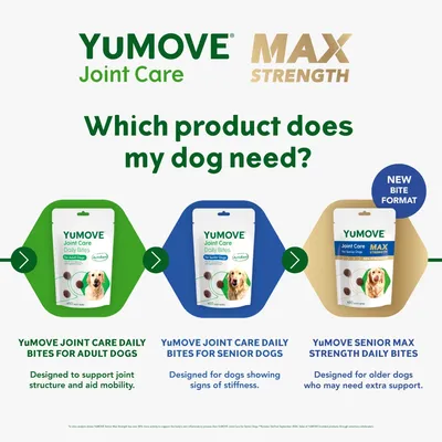 Comparison of YuMOVE Joint Care Daily Bites for adult dogs, senior dogs, and Max Strength for older dogs needing extra support. Includes descriptions for each product’s intended use.