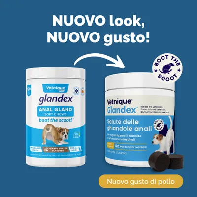 Glandex Snack masticabili per ghiandole anali Glandex Snack masticabili per ghiandole anali