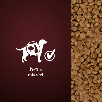 Symbol eines Hundes mit Organ-Diagramm und Häkchen. Text: Protein reduziert. Rechts Abbildung von braunen Trockenfutterstücken.