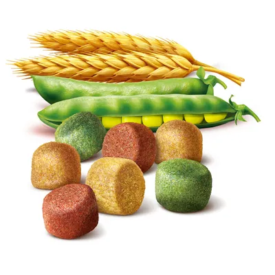 Croquetas de pienso en colores verde, rojo y amarillo delante de vainas de guisante abiertas y espigas de trigo. Ingredientes visibles: guisantes y trigo.