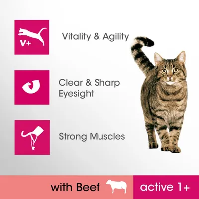Text på engelska: Vitality & Agility, Clear & Sharp Eyesight, Strong Muscles, with Beef, active 1+. Bild på katt och ikoner för vitalitet, syn och muskler.