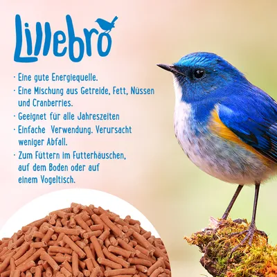 Lillebro Vogelfutter: Energiequelle aus Getreide, Fett, Nüssen und Cranberries. Geeignet für alle Jahreszeiten. Weniger Abfall. Fütterung im Häuschen, Boden oder Vogeltisch.