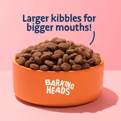 Bowl filled with large kibbles and text stating 'Larger kibbles for bigger mouths!'