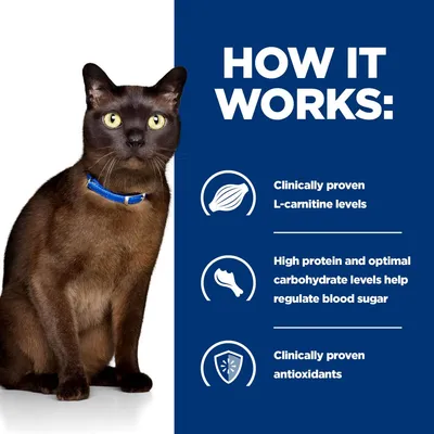 Barna macska kék nyakörvvel, mellette angol szöveg: How it works, Clinically proven L-carnitine levels, High protein and optimal carbohydrate levels help regulate blood sugar, Clinically proven antioxidants.