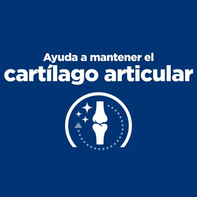 Ayuda a mantener el cartílago articular