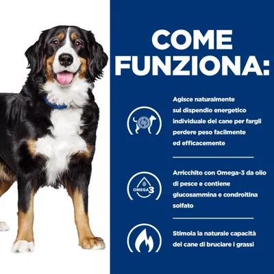 COME FUNZIONA: Agisce naturalmente sul dispendio energetico del cane, arricchito con Omega-3 da olio di pesce, contiene glucosammina e condroitina solfato, stimola la capacità di bruciare grassi.