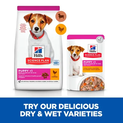 Hill`s Science Plan Puppy Small & Mini Lamb & Rice