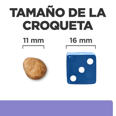 Tamaño de la croqueta: 11 mm junto a un dado azul de 16 mm para comparar. Texto visible: 'TAMAÑO DE LA CROQUETA', '11 mm', '16 mm'.