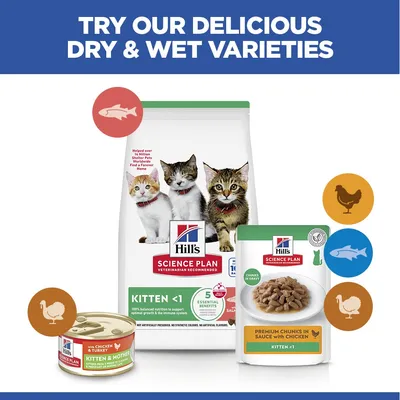 Hill's Science Plan Kitten <1 Σολομός