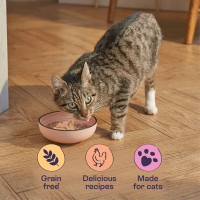 Cat eating wet food from a bowl. Icons below state: grain free, delicious recipes, made for cats.