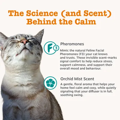 Zesty Paws Cat Calming Diffuser Kit Orchid Mist - 30g Zesty Paws Cat Calming Diffuser Kit Orchid Mist - 30g