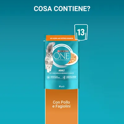 Purina ONE Adult 85 g, con pollo e fagiolini. Testo visibile: 'Cosa contiene?', 'Mit Huhn und grünen Bohnen', 'Con Pollo e Fagiolini', icona 13 bustine.