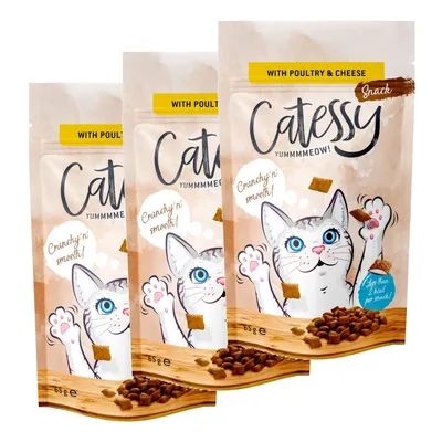 Three packs of Catessy Snack cat treats, 65g each, with poultry & cheese. Visible text: 'Crunchy n’ smooth!', 'YUMMMMEEOW!', 'Less than 2 kcal per snack'. Cartoon cat on packaging.