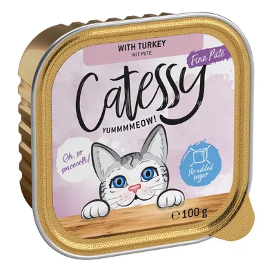 Catessy Fine Paté cu curcan, 100g. Fără adaos de zahăr. Ilustrație cu o pisică gri cu ochi albaștri și textul „Oh, so smooth!”.