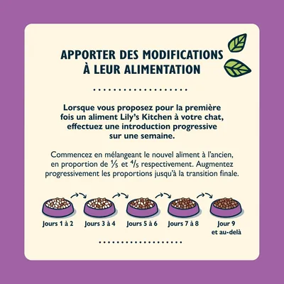 Conseils de transition alimentaire pour chat Lily’s Kitchen : mélange progressif du nouvel aliment sur 9 jours, proportions augmentées chaque étape, instructions détaillées incluses.