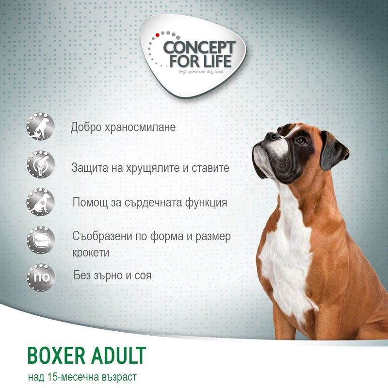 Concept for Life Boxer Adult