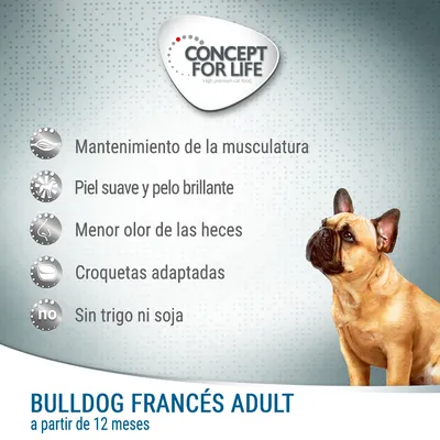 Concept for Life Bulldog Francés Adult a partir de 12 meses. Mantenimiento de la musculatura, piel suave y pelo brillante, menor olor de las heces, croquetas adaptadas, sin trigo ni soja.