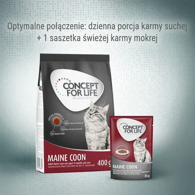 CONCEPT FOR LIFE Maine Coon karma dla kotów, opakowanie 400 g suchej karmy i saszetka 85 g mokrej. Tekst: Optymalne połączenie: dzienna porcja karmy suchej + 1 saszetka świeżej karmy mokrej.