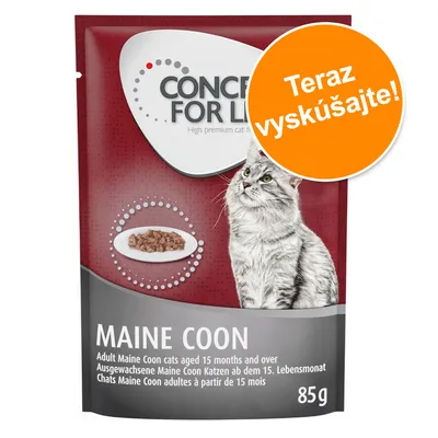 12 x 85 g Concept for Life Maine Coon Adult za výhodnú cenu na skúšku!