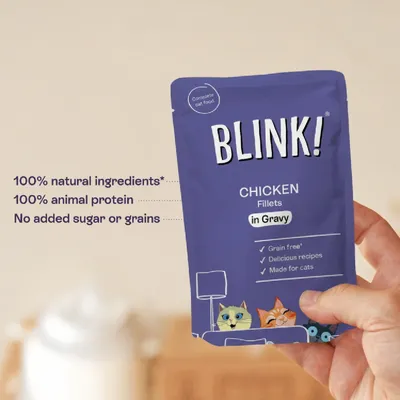 BLINK! CHICKEN Fillets in Gravy, 100% natural ingredients, 100% animal protein, no sugar or grain, grain-free, delicious recipes, for cats.