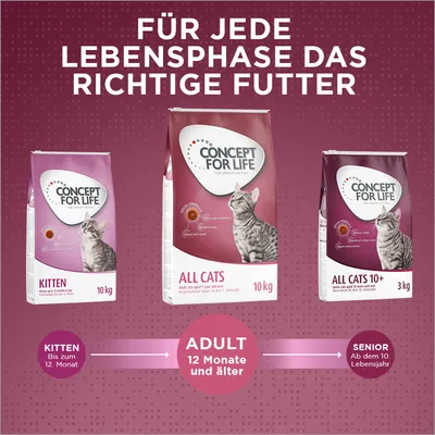 Concept for Life Katzenfutter für jede Lebensphase: Kitten bis 12 Monate, Adult ab 12 Monaten, Senior ab dem 10. Lebensjahr. Verpackungen mit Produktnamen und Gewicht sichtbar.