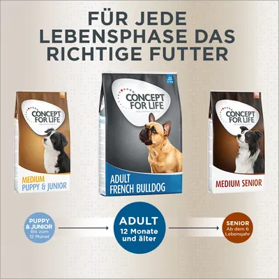 Concept for Life Hundefutter für jede Lebensphase: Medium Puppy & Junior bis 12 Monate, Adult ab 12 Monate, Medium Senior ab dem 6. Lebensjahr.