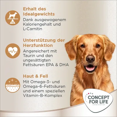 Erhalt des Idealgewichts, Unterstützung der Herzfunktion und Haut & Fell Pflege. Mit L-Carnitin, Taurin, EPA & DHA sowie Omega-3-, Omega-6-Fettsäuren und Vitamin-B-Komplex.