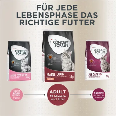 Concept for Life Maine Coon Kitten 10 kg, Maine Coon Adult 3 kg, All Cats 10+ 3 kg. Texte en allemand sur les phases de vie : kitten jusqu’à 14 mois, adulte dès 15 mois, senior dès 10 ans.