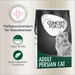 Concept for Life Persian Adult - Verbesserte Rezeptur!