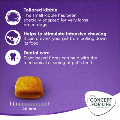 Kibble features: tailored for very large breed dogs, helps stimulate intensive chewing to prevent bolting food, plant-based fibres support dental care. Kibble size shown as 20 mm.