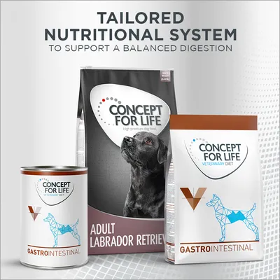 Concept for Life Prebiotic Snack med kylling