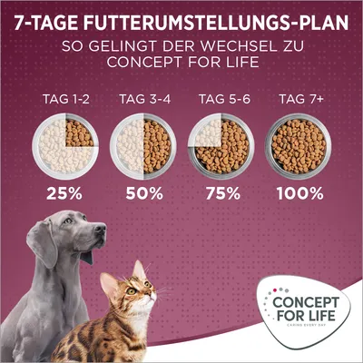 7-Tage Futterumstellungs-Plan: Wechsel zu Concept for Life. Tag 1-2: 25%, Tag 3-4: 50%, Tag 5-6: 75%, Tag 7+: 100%. Hund und Katze abgebildet. Logo Concept for Life unten rechts.