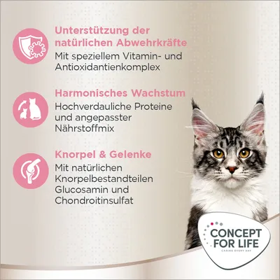 Unterstützung der Abwehrkräfte, harmonisches Wachstum und Gelenkgesundheit. Mit Vitamin-Komplex, Proteinen, Glucosamin und Chondroitinsulfat. Concept for Life Logo sichtbar.