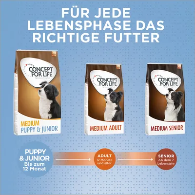 Concept for Life Hundefutter für jede Lebensphase: Medium Puppy & Junior bis 12 Monate, Medium Adult ab 12 Monate, Medium Senior ab dem 7. Lebensjahr.