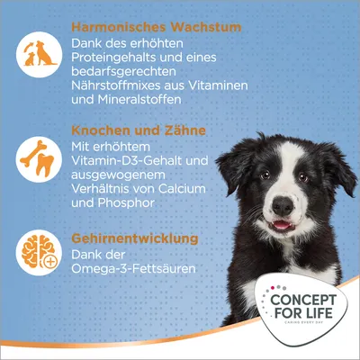 Harmonisches Wachstum durch Protein und Nährstoffmix, Knochen und Zähne mit Vitamin D3, Gehirnentwicklung dank Omega-3-Fettsäuren. Concept for Life Logo sichtbar.