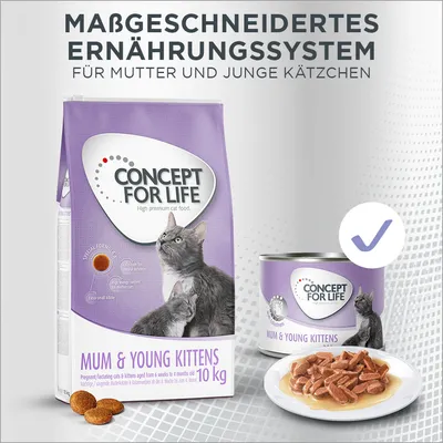 Concept for Life Mum & Young Kittens, massgeschneidertes Ernährungssystem für Mutter und junge Kätzchen. Trockenfutter 10kg und Nassfutterdose mit Abbildung von Katzen und Futterstücken.