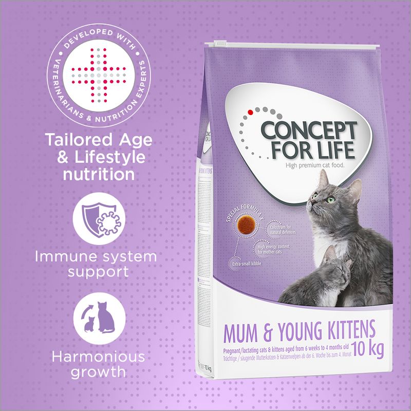 Concept for Life Mum & Young Kittens