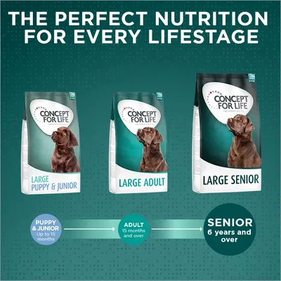 Concept for Life food range for large breeds: Puppy & Junior up to 15 months, Adult from 15 months, Senior from 6 years. Three product packs shown for each life stage.