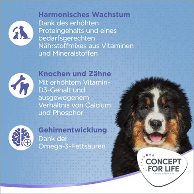 Texte en allemand : croissance harmonieuse, os et dents, développement cérébral. Concept for Life. Chien de type bouvier bernois.
