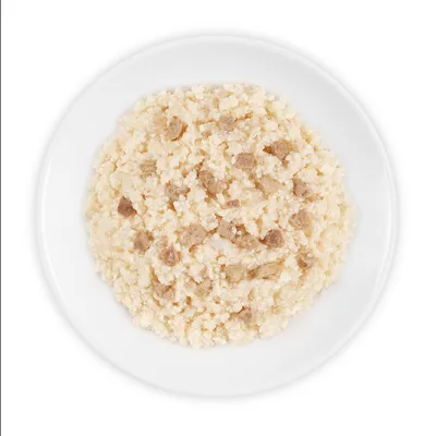 Nahaufnahme eines weissen Tellers mit feuchtem, körnigem Futter und kleinen Fleischstücken.