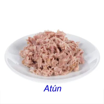 Plato blanco con atún desmenuzado. Texto visible: Atún.
