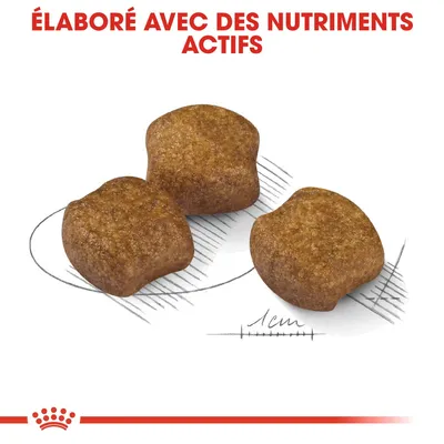 Croquettes de forme arrondie, environ 1 cm, texte visible : « Élaboré avec des nutriments actifs » en haut de l’image. Marque non explicitement indiquée.